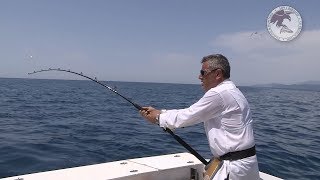 Tuna fishing Montenegro  Triple strike tuna  Bluefin tuna [upl. by Nash]