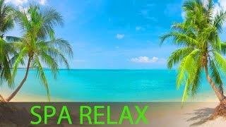 8 Hour Super Relaxing Spa Music Massage Music Background Music Relaxing Music ☯391 [upl. by Atteyek]