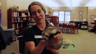 Day in the Life of a Zoo Education Specialist [upl. by Toogood]