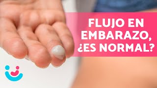 ¿Qué SIGNIFICA el FLUJO durante el EMBARAZO 🤰💧 ¿Es normal ¿Cuándo debo preocuparme [upl. by Neroled]