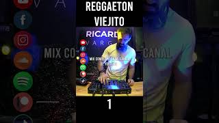 Reggaeton Viejito Mix 1  Parte 1 [upl. by Alleram]