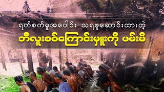 နယ်လှည့်သတ်ဖြတ်နေတဲ့ ဘီလူးစစ်ကြောင်းမှူးကို ဖမ်းမိ ရုပ်သံ [upl. by Jacobine972]