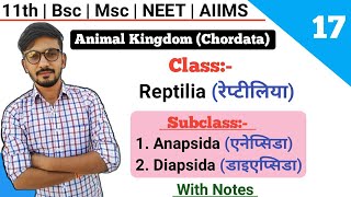 Subclass Anapsida  Diapsida  Classification Of Chordates  Animal Kingdom  By Dadhich Sir [upl. by Alidis]