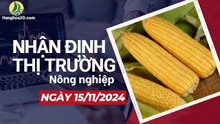 Nhận Định Thị Trường Ngày 15112024 Lúa Mì Giảm Sâu Tăng Hồi Kỹ Thuật Hay Chưa [upl. by Laney114]