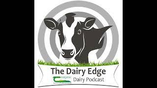 Let’s Talk Dairy Bonus Episode John Trant 2019 Young Grassland Farmer of the Year [upl. by Airb]