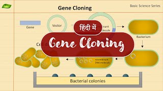 Gene Cloning in Hindi  Introduction  Basic Science Series Hindi [upl. by Gnart]