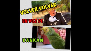 LORO HOMENAJE DE VICENTE FERNANDEZ [upl. by Ennayelsel428]