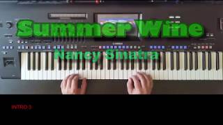 Summer Wine  Nancy Sinatra amp Lee Hazlewood Cover eingespielt auf Genos [upl. by Reeher]