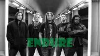 Nonpoint  Endure  Lyric Video [upl. by Eddra274]