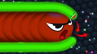 Slitherio Will The Giant Snake Get Out of the Small Snake  Epic Slitherio Gameplay [upl. by Gallenz]