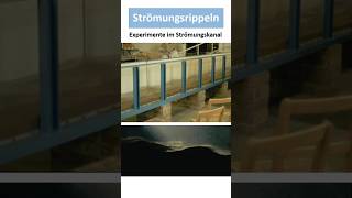 Strömungsrippeln Entstehung Bedeutung [upl. by Yeloc]