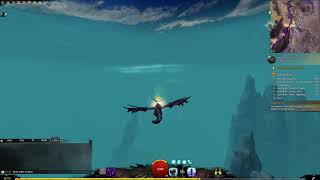 Guild Wars 2 Open Skies Domain of Vabbi collection  Ruddy Vabbian Griffon Egg [upl. by Trinetta547]