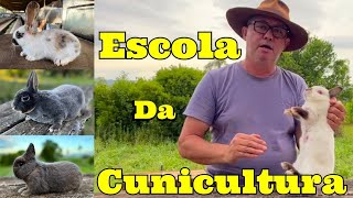 Aprenda tudo da Cunicultura Na prática Criação de Coelhos [upl. by Nomelc]