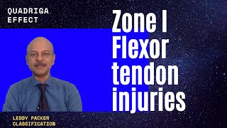 Repair of Zone I Flexor tendon injuries and understanding the protocols of management [upl. by Ysdnyl]