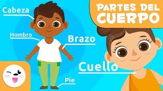 Las partes del cuerpo humano para niños  Vídeos educativos para niños [upl. by Sialac]