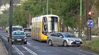 Carris 15E Tram Route and Timetable Guide [upl. by Elsilrac814]