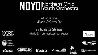 quotWhere Falcons Flyquot Adrian B Sims  NOYO Sinfonietta Strings [upl. by Nahtanaoj]