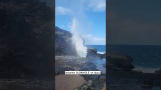 Famous Nakalele Blowhole on Maui geology hawaii travel [upl. by Enyamrahs56]