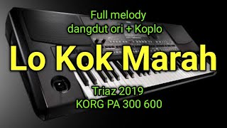 STYLE LOO KOK MARAH TRIAZ 2019 KORG PA 300 600 800 900 1000 P3X P4X [upl. by Auguste]