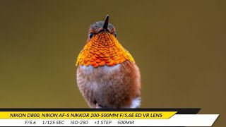 I am going back to Nikon The old Nikon D800 DSLR in 2022  can you see any difference [upl. by Dexter]