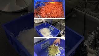 Carrot Shredder Ginger Potato Julienne Cutting Machine carrotshred vegetable Julienne [upl. by Chaker133]