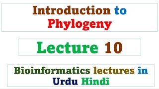 Introduction to phylogeny  Bioinformatics  Lecture 10 [upl. by Emerson995]