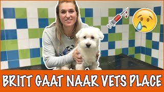 Mijn pup is ziek Voor het eerst naar de dierenarts  DierenpraatTV [upl. by Ahtanamas754]