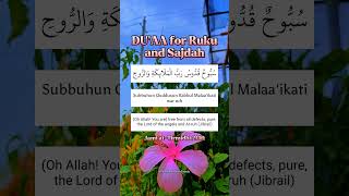 DUAA for Ruku and Sajdah [upl. by Ikcin]