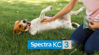 Protect Your Pets Against Kennel Cough with Canine Spectra KC3 Vaccine [upl. by Gwenora]