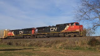 Canadian National  Eastbound RackStack Train 28 Oct 24 [upl. by Korns]