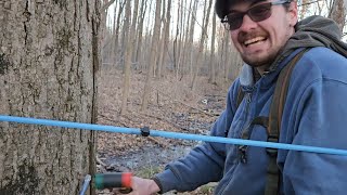 Tapping Maple Trees 2024 ep 172 [upl. by Oderf]