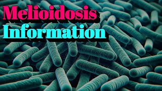 Melioidosis Information 🔬Tier3 Infectious Disease [upl. by Say]