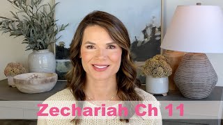 Zechariah Chapter 11 [upl. by Chrissy]