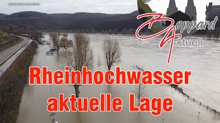 Rheinhochwasser aktuelle Lage [upl. by Anovad]