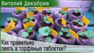 КАК ПРАВИЛЬНО СЕЯТЬ В ТОРФЯНЫЕ ТАБЛЕТКИ [upl. by Llewop]