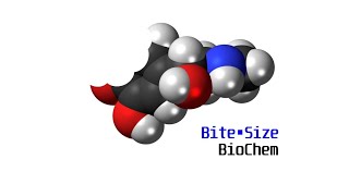 BiteSize Biochem Acetyl CoA and the TCA Cycle [upl. by Neelra]