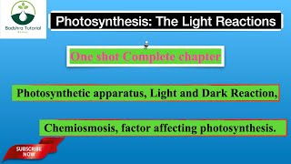 Photosynthesis in higher Plants  Complete in one shot  Neet 2025 [upl. by Ervine]