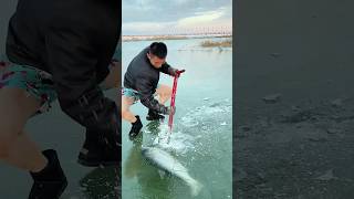 This Incredible Ice Fishing Technique Went Viral on the Internet shorts trending viralvideo [upl. by Delsman]