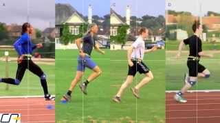 Study of Sprinters and Distance Runners Leg Action [upl. by Niajneb]