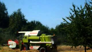 claas dominator 88 vs reh [upl. by Artemahs]