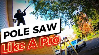 Major Tree Trimming Best Pole Saw [upl. by Daisi]