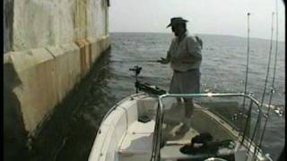 Worlds Greatest Rockfishing Video [upl. by Elocim]