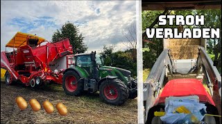 Stoppelbearbeitung im Raps  Strohverkauf mit LKW  Farmvlog 134 [upl. by Ahsiloc756]