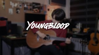 5 Seconds Of Summer  Youngblood  Acoustic Guitar Covered by Youngso Kim  Fingerstyle [upl. by Lithea]