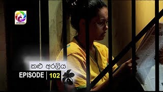 Kalu Araliya Episode 102  කළු අරලිය     සතියේ දිනවල රාත්‍රී 1000 ට ස්වර්ණවාහිනී බලන්න [upl. by Malone]