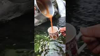 Sabhi Ke Natak Dekhte Chai  Sabhi Ke Video Dekhte Chai  Song Dekhte Chai  Songs On Chai [upl. by Yer]