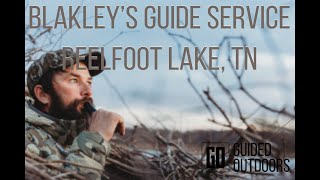 REELFOOT LAKE DUCK HUNTING WITH BLAKLEYS GUIDE SERVICE [upl. by Walton496]