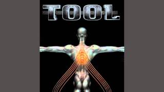 Tool  No Quarter 320kbps  1080p  Lyrics [upl. by Elon]