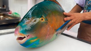 green parrot fish 6kg  vn chef [upl. by Laverne]