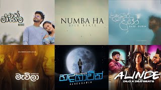 DILU Beats ගේ හොදම සිංදු ටික ‍ Best of DILU Beats   Best Sinhala Song Collection [upl. by Sualkin]